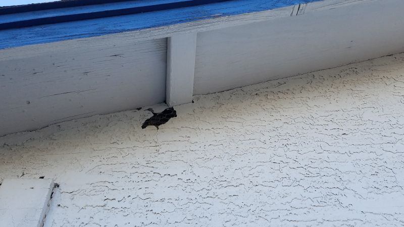 Exterior Stucco Patching